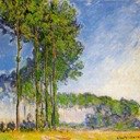 Les Peupliers